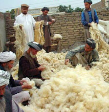 wool-to-yarn.jpg